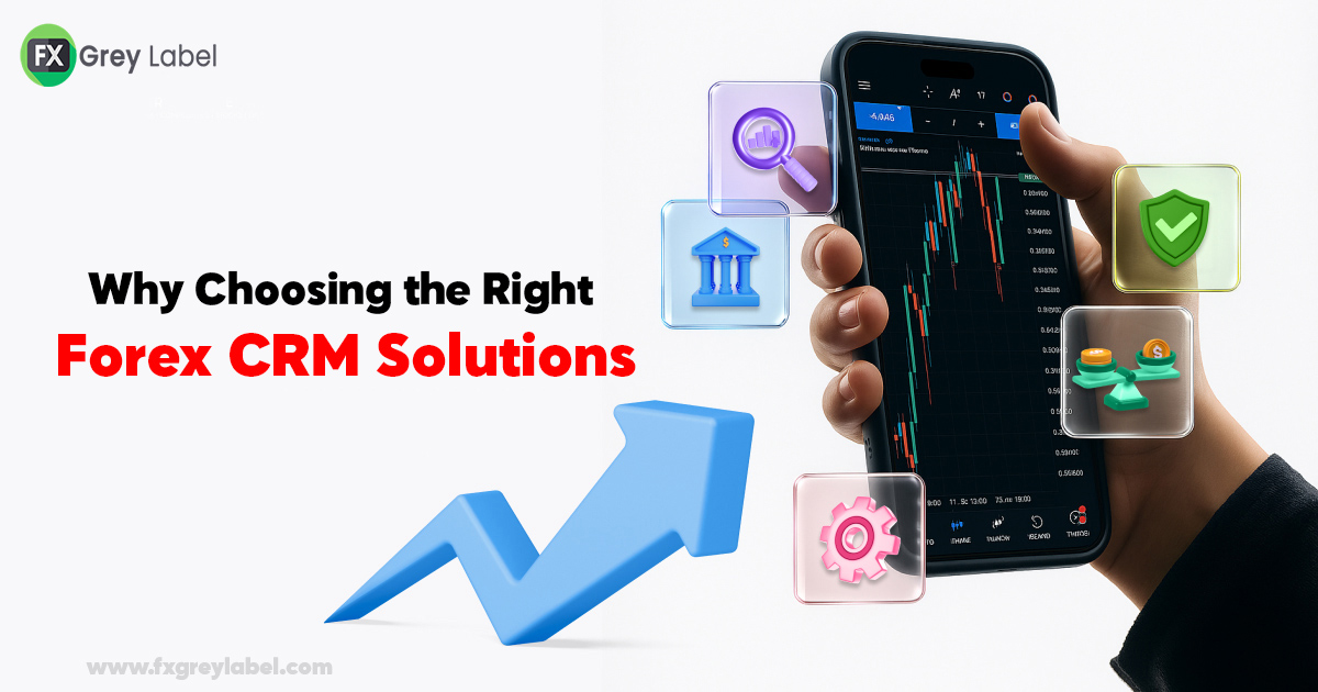 Forex CRM Solutions